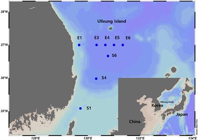 Evaluating zooplankton species diversity using environmental DNA and bulk-DNA metabarcoding in the Ulleung Basin of the Southeastern Korean Peninsula in the summer